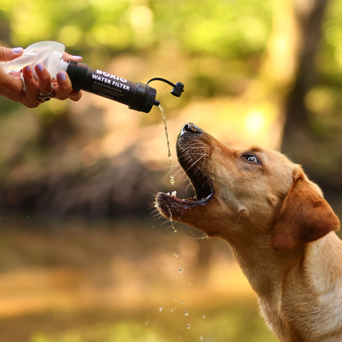 BOXIO WATER FILTER – Mobiler Outdoor-Wasserfilter