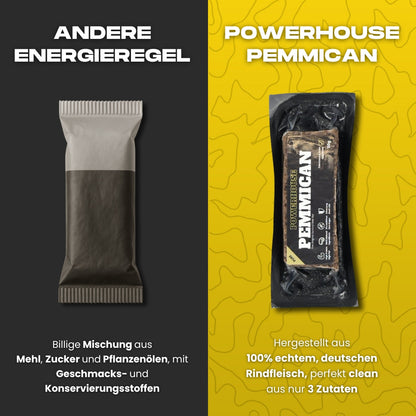 Powerhouse Pemmican - SUNNY TOMATO